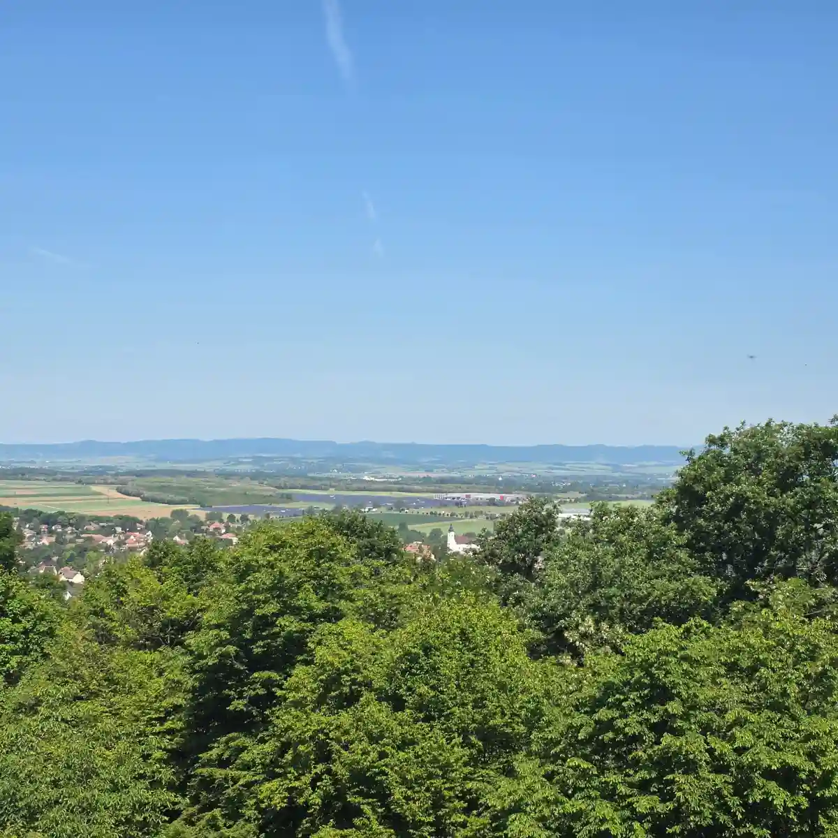 Panoráma a Leánykökörcsin-kilátóból