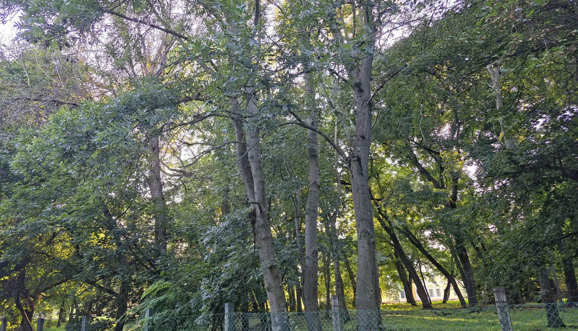 A Simonyi-kastély